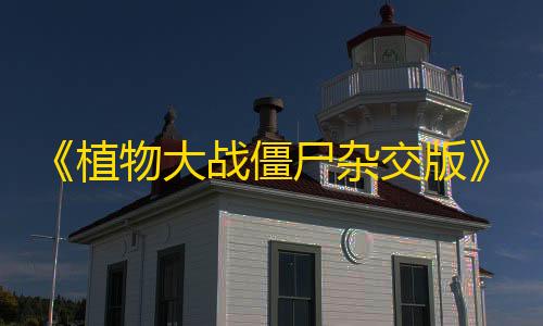 暗区突围国际服科技辅助小米刷新率工具
